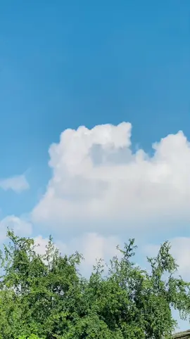 تفائل بالحياة  قد يأتيك الفرج 🤍#احمد_الوائلي 