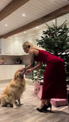 My love ❤️ #goldenretriever #christmas #women 