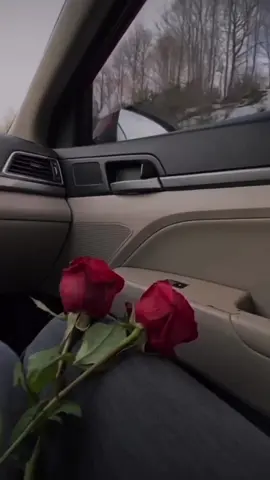 #arabesksevenler #keşfetttttttttt #arabastory #güll #arabasnapleri #kırmızıkalp #izleyinnn #kesfetimacilsin #🧿🧿🧿🧿 