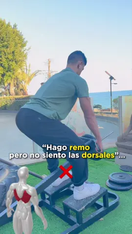 Cómo hacer el remo en T? #remot #remo #dorsal #espalda #gym #Fitness #gymtips #fitnesstips 