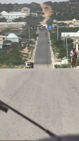 Hal Qof oo shiikhaal ah so mention garey Lol @Dayax Dalnuurshe #kaxda #shiikhaalnimo💉❤🇾🇪🇸🇴 #xamar #somalitiktok #cida_xirta #somali 