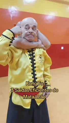 #tskf #kungfu #kungfuadistancia #kungfuonline #wushu #louvaadeus #artemarcial #artesmarciais #shaolin #chikung #camisadeferro #humor 