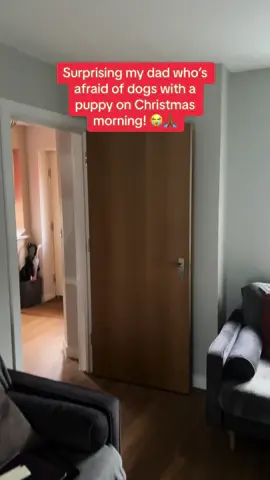 New addition to the family 🥹💗🎄 #merrychristmas #nigeriantiktok🇳🇬 #surprise #DiggySofi 