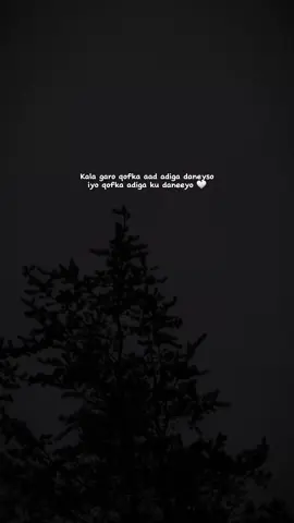 Kala garo ..🤍  #911_emergencyy 