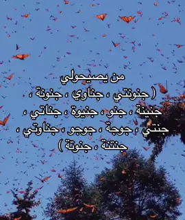 حرفيا ماكو اجمل من اشخاصكم مفضلين يدلعوكم بهيج اسامي حلوة🫣💙🦋✨. #شعب_الصيني_ماله_حل😂😂 #فراشات #fypage #tiktok #fyp #fypシ #foryoupage #foryou #مالي_خلق_احط_هاشتاقات 