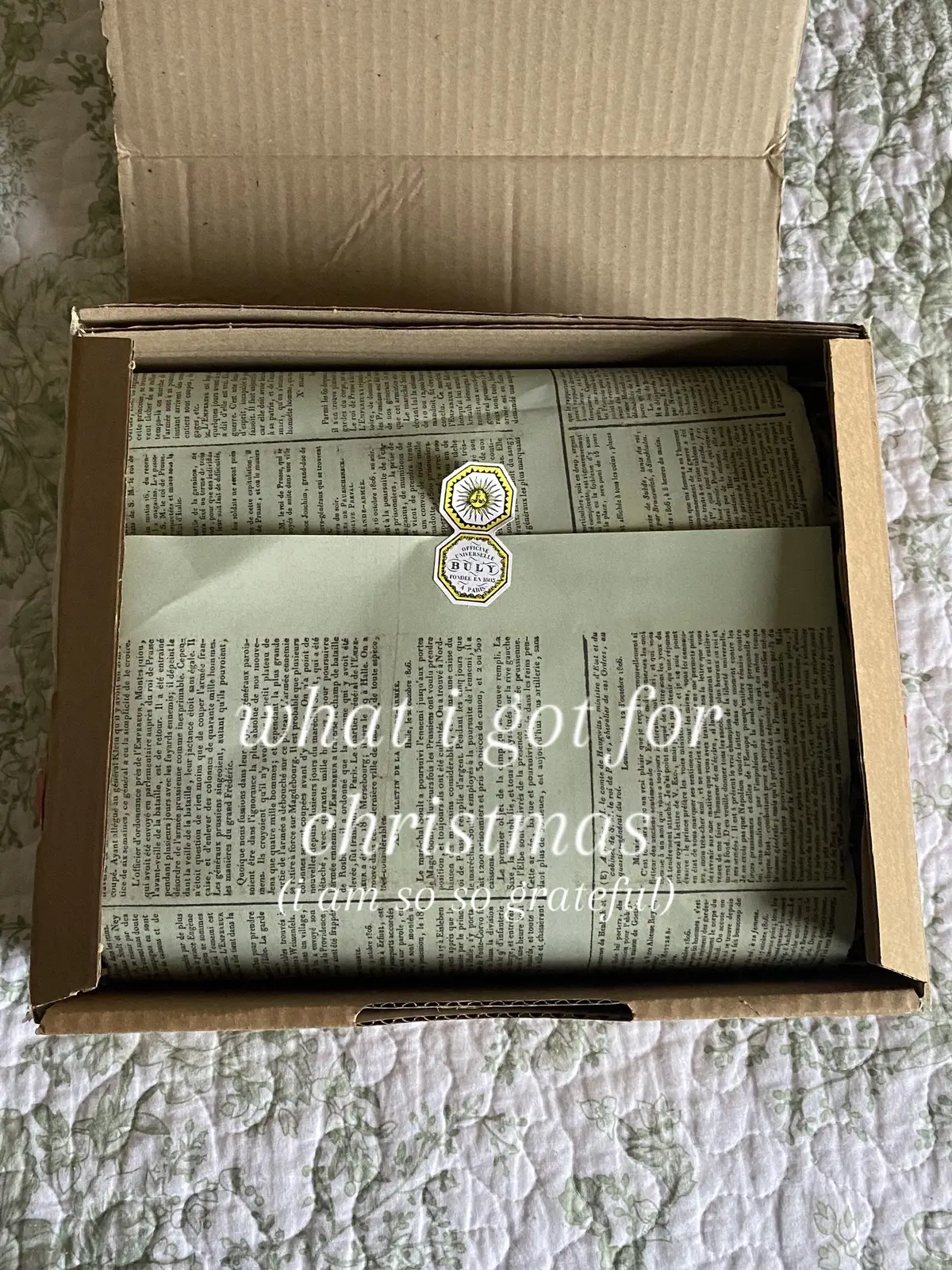 im sooooo grateful for everything (except the dobby doll. im not really sure what to do with that. taking suggestions) #xmashaul #christmashaul #whatigotforchristmas #longchampgirls #lepilage #frenchgirlstyle #vintagevibes 