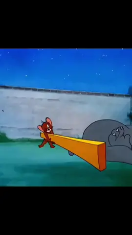 Tom & Jerry #cartoon #animation #tomandjerry 