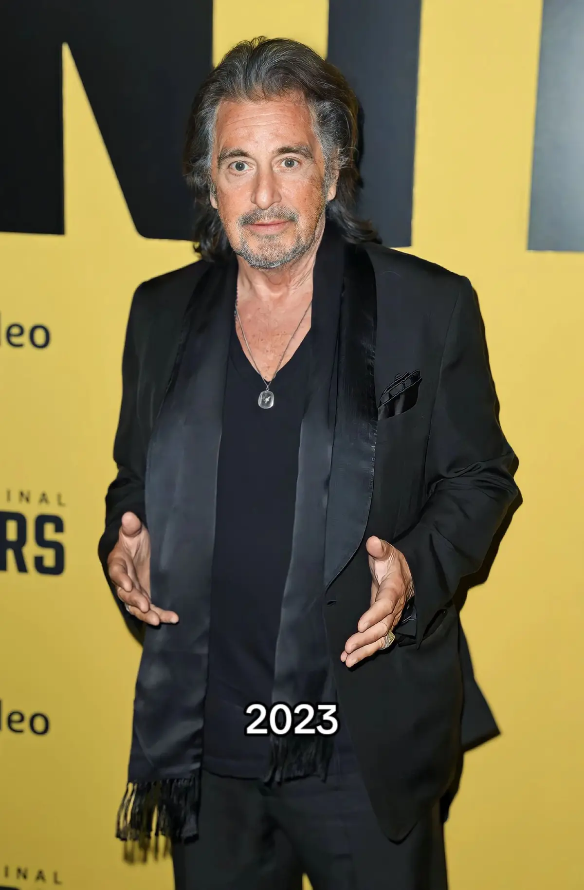 #alpacino #viral 