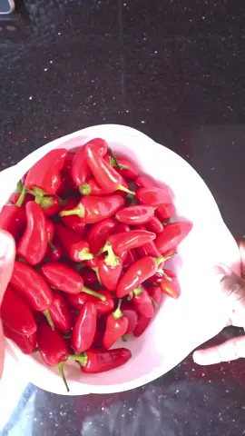 #fitness_bdarija1 #fitnessbdarija #وصفات #اكلات_سريعة #وصفة #الحار #الفلفل #الفلفل🌶️️ 