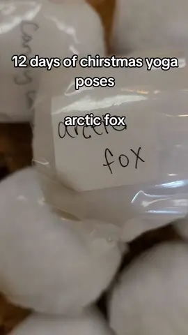 merry chirstmas from the Sundance family to yours! #sundanceyogastudioTX #merrychristmas #yoga #kidsyoga #yogastretch#yogapose #fyp 