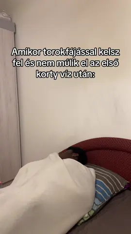 kezdődik a legrosszabb😭 #fyp #magyar #fyppp #viral #braimahadams #hungary