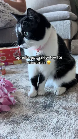 “is that a CHicKen???!!!!!!!!!” - ophelia to her new toy #christmaskitty #catsoftiktok #PetsOfTikTok #cuddle #cute #cattoys #kardashians #kyliejenner 