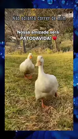 Mande para aquele amigo especial #CapCut #funnyvideos #MemeCut 
