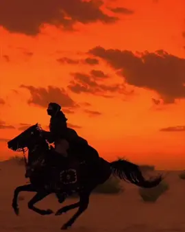 🐎❤️❤️❤️