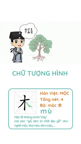 #Canva TỪ VỰNG HSK1 Sự thú vị của chữ hán Phần 1 - Mộc #Mộc #木 #林 #森 #hsk1 #tuvunghsk1 #tuhoctiengtrung #tiengtrungthuvi #LearnOnTikTok 