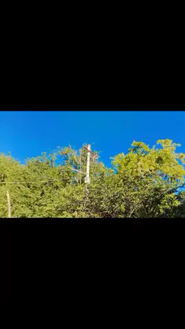 #tiktokmyanmar2023🇲🇲 #video #BoYeLay #ပြန်ချင်နေပီလား #အဝေးရောက်တဲ့သူတွေ#မလွမ်းဘူးလားအမေနဲ့ရွာကို 