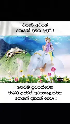 🙂පිංබර උදුවප් පොහෝ දිනයක් වේවා...!🙏🙏