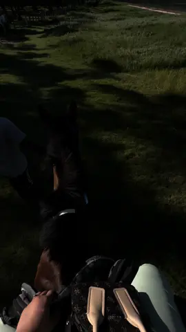 #اكسبلورexplore 