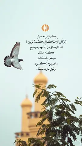 صوت يأسر القلوب🥺🤍.. #القارئ_عزالدين_العوامي #قران_كريم_ارح_سمعك_وقلبك #fyp #explore 
