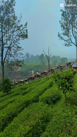 sesuai ekspektasi #gunungmaspuncak #ekspektasivsrealita 