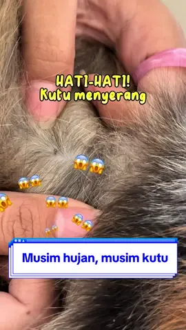 Musim hujan musim penyakit, kalo penyakitnya udah kutuan harus segera diatasi nih! 😱 Jangan lupa untuk selalu sedia “Obat Tetes Kutu” dari Clever Solutions Kutu Mati, Anabul Happy! ✨ #cleversolutionsindonesia #kutumatianabulhepi #obatteteskutucleversolutions #teteskutuclever 