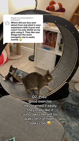 Replying to @heehootiktok Juno’s first time on the wheel+answers to questions! 😊 affiliate link in bio if anyone wants to support #catlover #tuxedocat #tabbycat #catwheel #cattreadmill #catanswers 
