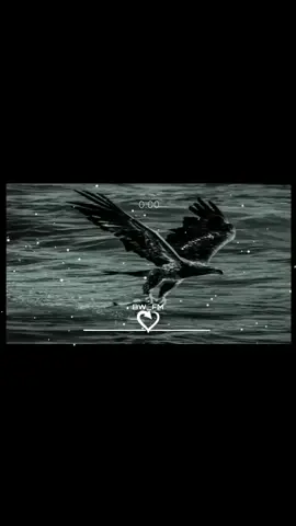 #موسيقى الصقر_موسيقى حزينة😔🥀✨✨