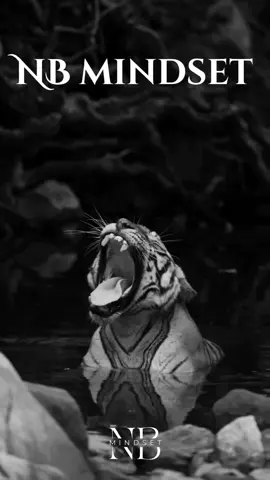 Lasse die Leute nur schlecht über dich reden! Wenn sie es tun weisst du wo sie hin gehören Hinter Dir👑💯 Insta Buchsminds #respect #sigma #mindset #fokus #hinterdir #feinde #freunde #zitate #zitateundsprüche #keineschwäche #lernen #erfolg #erfolgistkeinglück 