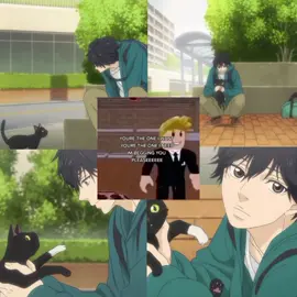 lucuk yah pacar q #koumabuchi #koutanaka #aoharuride #cat 
