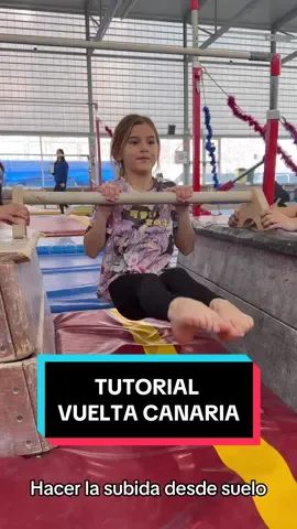 Progresión para hacer la vuelta canaria en 1 min Que otro elemento te gustaría aprender?🤔 dejalo en lo comentarios💕 #subidadeestomago #gymnastics #tutorialgymnastics #vueltaatras #vueltacanaria #gym #gimnasia #tutorialgimnasia #gymnasticstiktok #unevenbars #paralelas #barras 