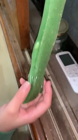 집 청소🧹🧹