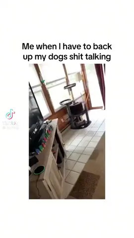 Lmfao dont talk shit to my dogs #thatsmydog #shittalking101 #dogsoftiktok 