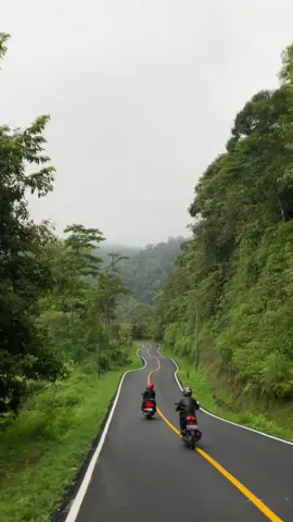 Ga bosen lewat sini🥰🥰🥰 . . . #naringgul_cianjur_selatan #cidaun #ciwidey #fypシ゚viral #trendingtiktok #viraltiktok #viralkan #pedesaan #suasanapedesaan 