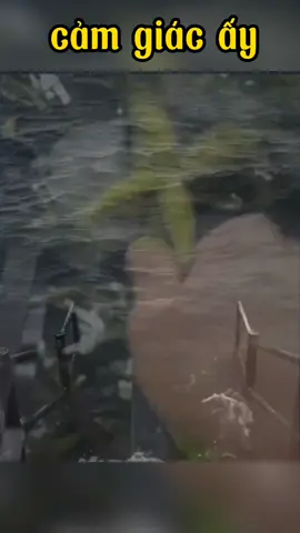 cảm giác lúc ấy sẽ ra sao  #cuoidaubungquatroi #haiquahai #haivuinhon #haivuilem68 #cuoidaubung6688 #funny #haivuilem #haivuighe #meme 