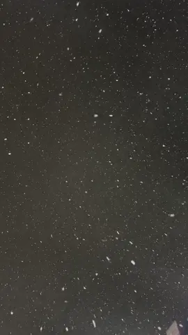Snowfall #korea #korean #coreen #seoul #koreantiktok #seoullife #seoulkorea #winter #snow #night #white #whitesnow #fy #fyp #fypage #foryou #foryoupage #foryourpage #pourtoi