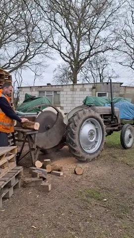 #ferguson #cordwoodsaw #cordwood #tractors #vintagetractor #oldtractor #agriculture #classic #vintage #old #agri #oldisgold #oldschool #trending #viral #fyp #foryou #f 