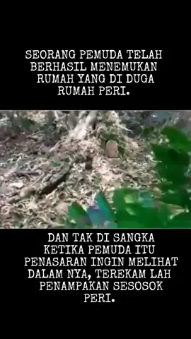 Penampakan wujud peri