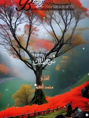 قرآن كريم  تبارك الذي بيده الملك #سورة_الملك #القارئ_محمد_الفقيه #قرآن_كريم #القرآن#المقام_الصنعاني  #لا_إله_إلا_الله #الله #اللهم_صلي_وسلم_وبارك_علي_سيدنا_محمد #تلاوات #اليمن 