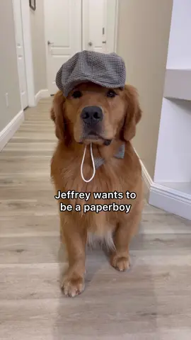 Paperboy Jeffy 🥹 #goldenretriever 