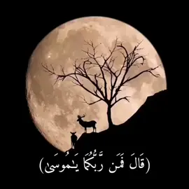 قال فمن ربكما يا موسي قال ربنا الذي أعطي كل شي خلقه ثم هدي #الشيخ رعد🤍🌸 