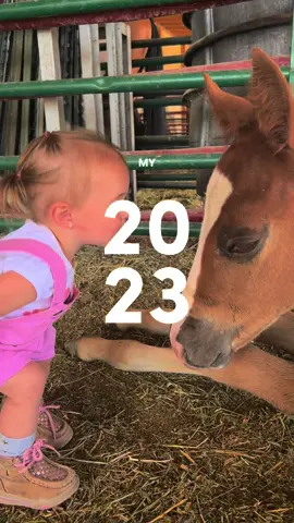 This year has been one for the books. I dont think I can thank all my followers enough for the amazing support from all of you. I never imagined this year would have led us to this. I’m so very blessed and grateful for each of you. Here’s to 2024 being just as GREAT 🎉#my2023 #Adios2023 #barnlifeisthebestlife #toddler #toddlersoftiktok #fyp #horse #equestrianlife #foal #foalsoftiktok #babyhorse #babyhorsesoftiktok #2023recap 