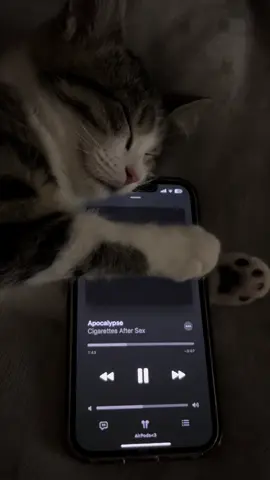 #apocalypse #cas #cat #music #viral #foryou #foryourpage #foryoupageofficiall 