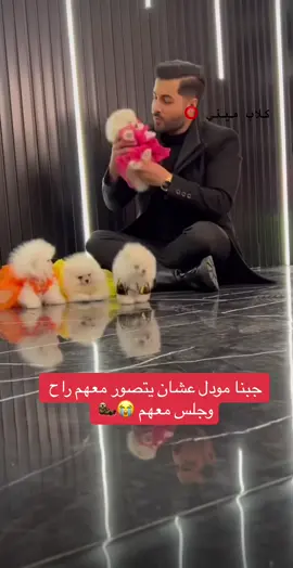 #الشعب_الصيني_ماله_حل😂😂😂 #اكسبلورexplore #fypシ #fyp #foryoupage #اكسبلور #حيوانات_اليفه #explore #بومرينيان 