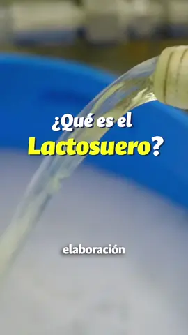 Lactosuero. ¿Nutritivo o perjudicial? Cada año se generan en Colombia alrededor de 8.000 millones de litros de lactosuero, que por lo general se desechan por las cañerías y contaminan fuentes hídricas y suelos.  El Laboratorio de Productos Lácteos de La UNAL Sede Medellín cuenta con un equipo de filtración por membranas que separa los nutrientes que quedan en el suero y permite aprovecharlos. Dentro de las labores de extensión de este laboratorio se encuentra la de llevar conocimiento a los pequeños productores para que aprovechen el lactosuero y minimicen el impacto ambiental que genera. Sandra Vargas (Doctorado en Alimentos @MedellinUNAL) nos ayuda a entender mejor qué es el lactosuero y cómo darle un buen uso. #Lactosuero #Ciencia #Nutrición #Colombia #UNAL #Medellin #Agricultura #Química #Científicos
