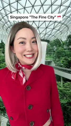 Info obtained from a reliable source 😂 #singapore #tourism #penalty 