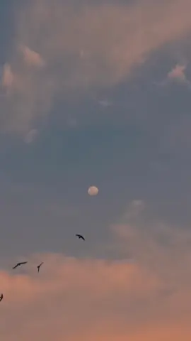 Bagian 30 | bulan kesorean ☁️🌕🎧 #langitaesthetic #langit #sky #bulan #takethatpatience #patience #fyp 