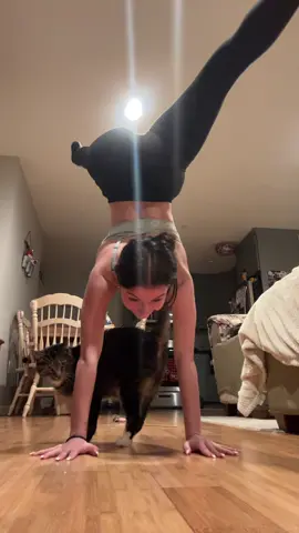 we know a trick or two 😂