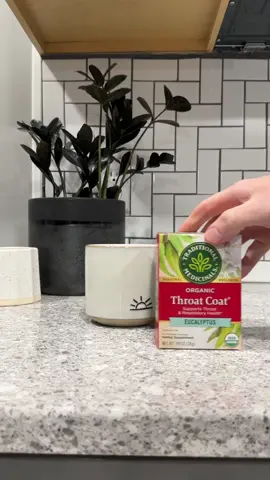 I santa brought me a cold 🤧 #Vlog #dayinmylife #dayinthelife #holiday #tuesday #sick 