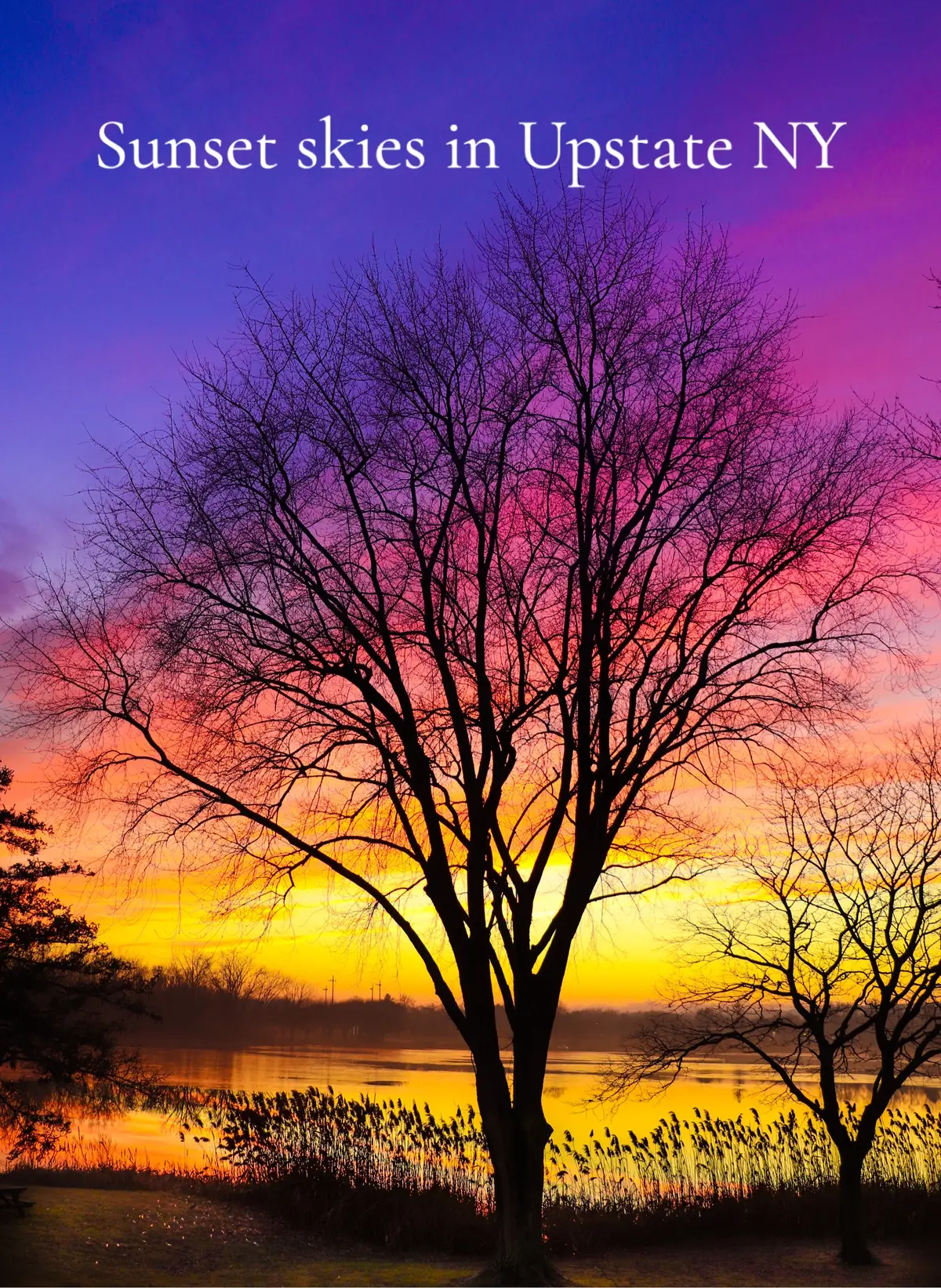 I love photographing sunsets and moonrises. The Hudson Valley and Adirondack areas of NY have such beautiful sunset spots with views of the Catskill and Adirondack mountains.  Now that the New Year is within sight, do you have any resolutions to see more sunsets in 2024?!  #sunset #moonrise #hudsonvalley #ny #adirondacks #photography #lakegeorgeny 