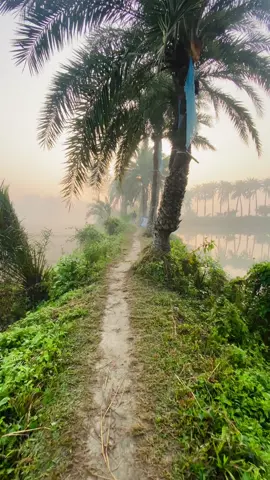 আসেন শীতের সকালে দেখা করি,খেজুরের রস খাই,বিলটা না-হয় আমিই দেবো<😊🤞#foryou #unfrezzmyaccount #viral #narsingdi_bd #araihazar_narayangonj #myvideo #officialtiktok #fyp #foryoupage #datejuice #wintervibe 